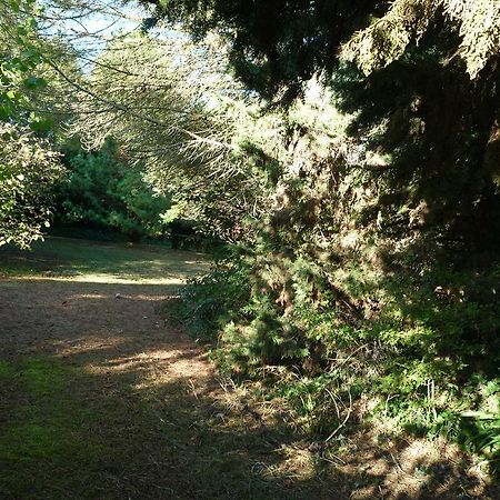مبيت وإفطار La Roche-Clermault Le Logis Du Peu Girard المظهر الخارجي الصورة